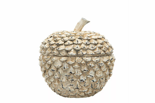 Ask Pine Poly - A Lot Decoration