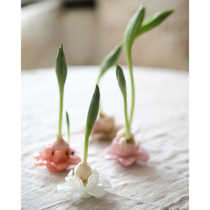 Dekorationsblomma FLOR aprikos - Wikholm Form